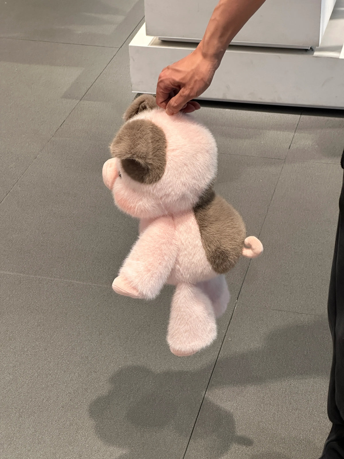 Cute-Mini-Pig-Stuffed-Animal-3 - Cubforest