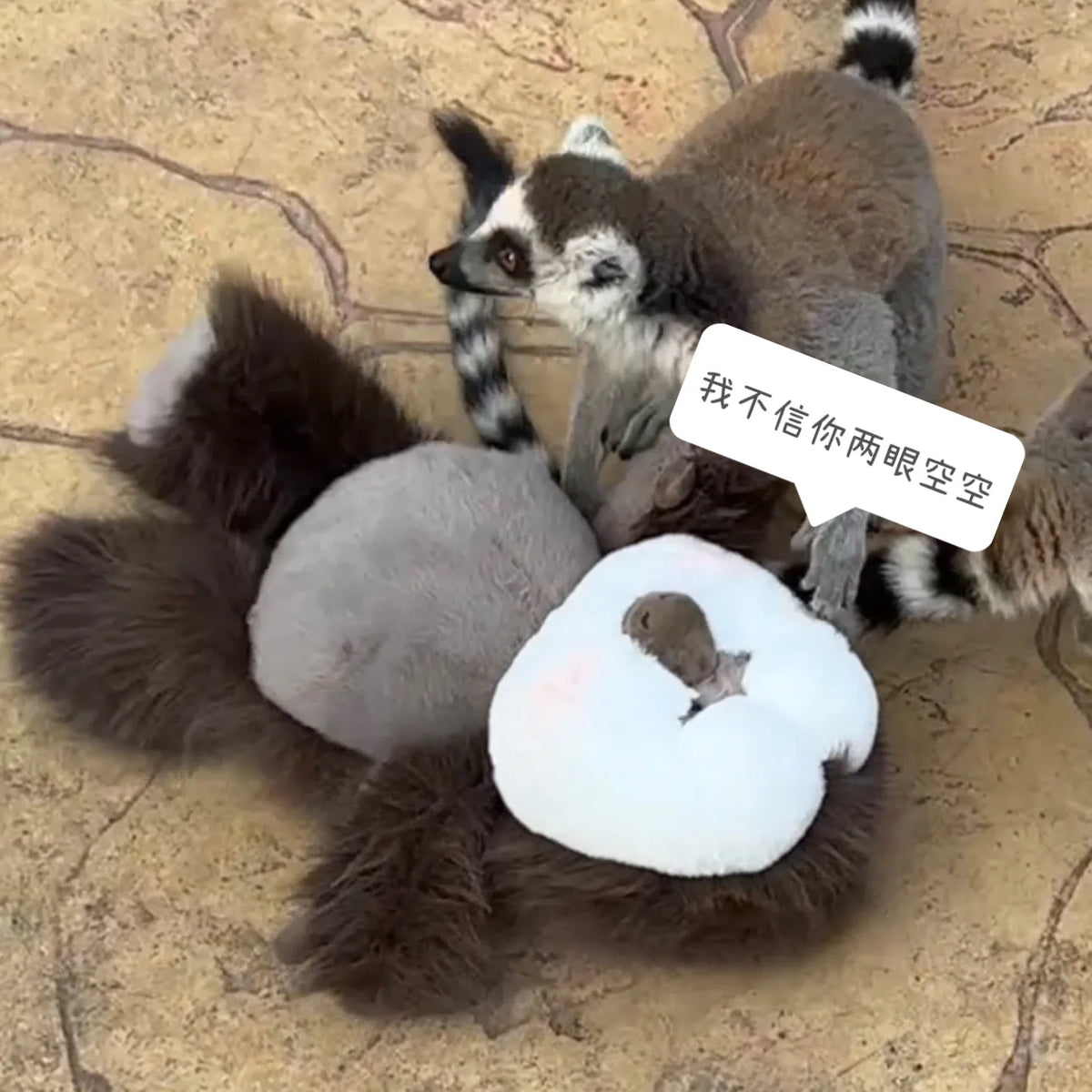 Saki-Monkey-Stuffed-Animal-3 - Cubforest